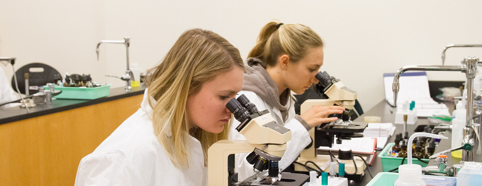 Female students using microscopes in science lab class