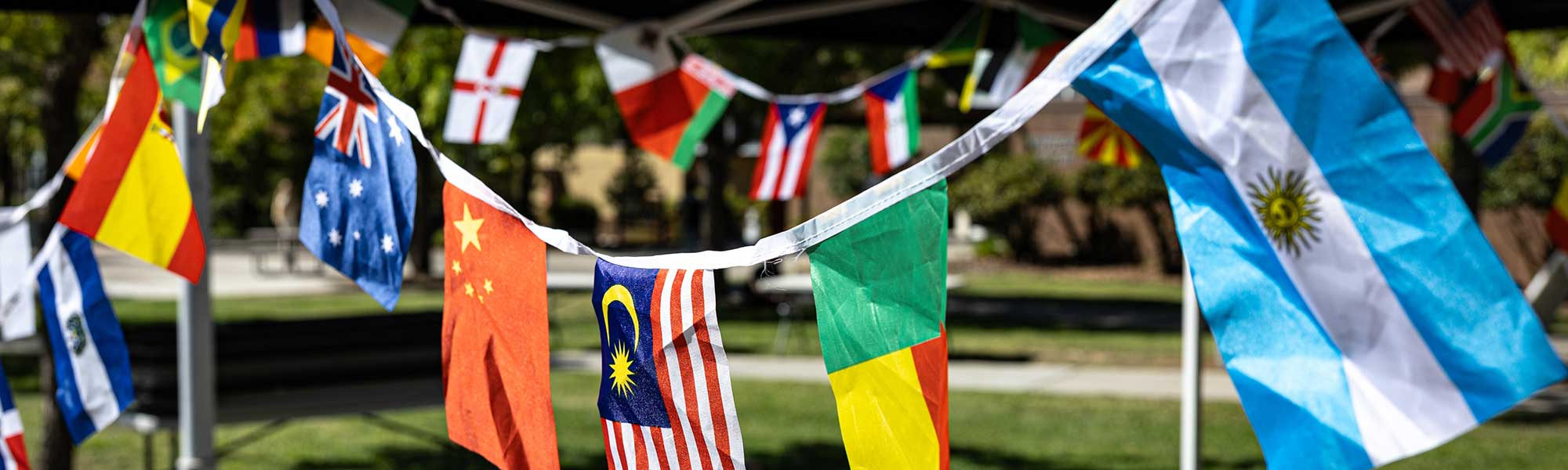 Flags representing different countries