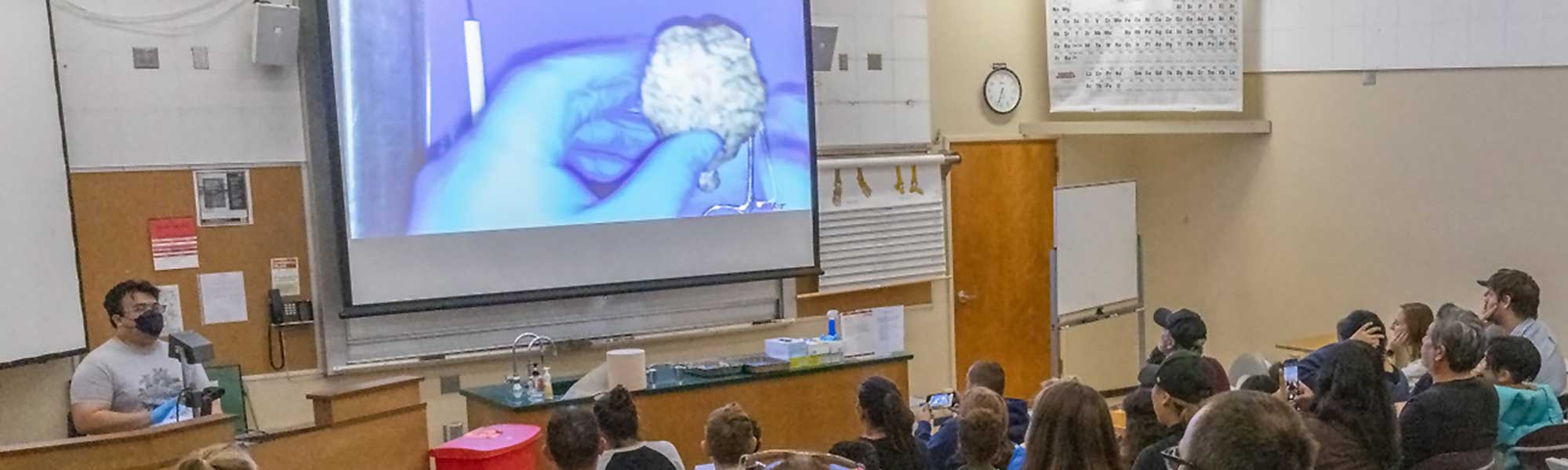 Instructor explaining scientific studies on large screen