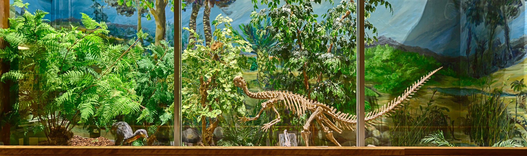 Natural History Museum