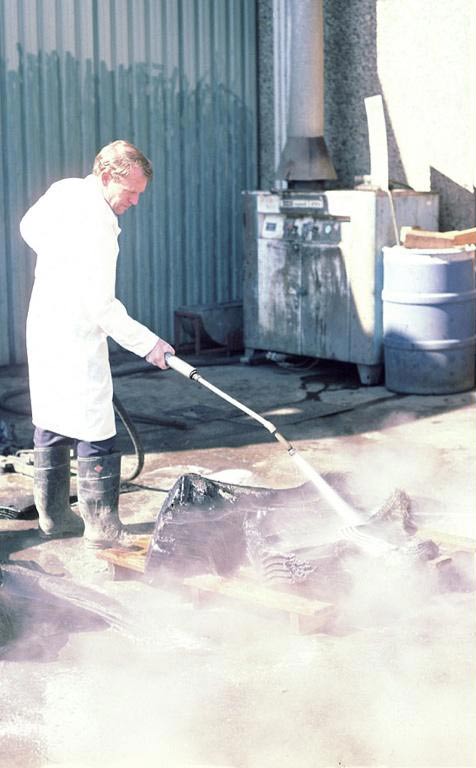 Charles Dailey steam cleaning whale bones