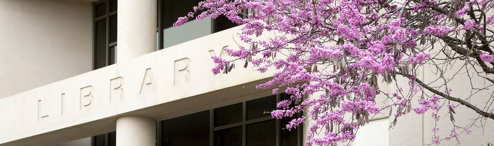 Library Hours, Locations and Policies