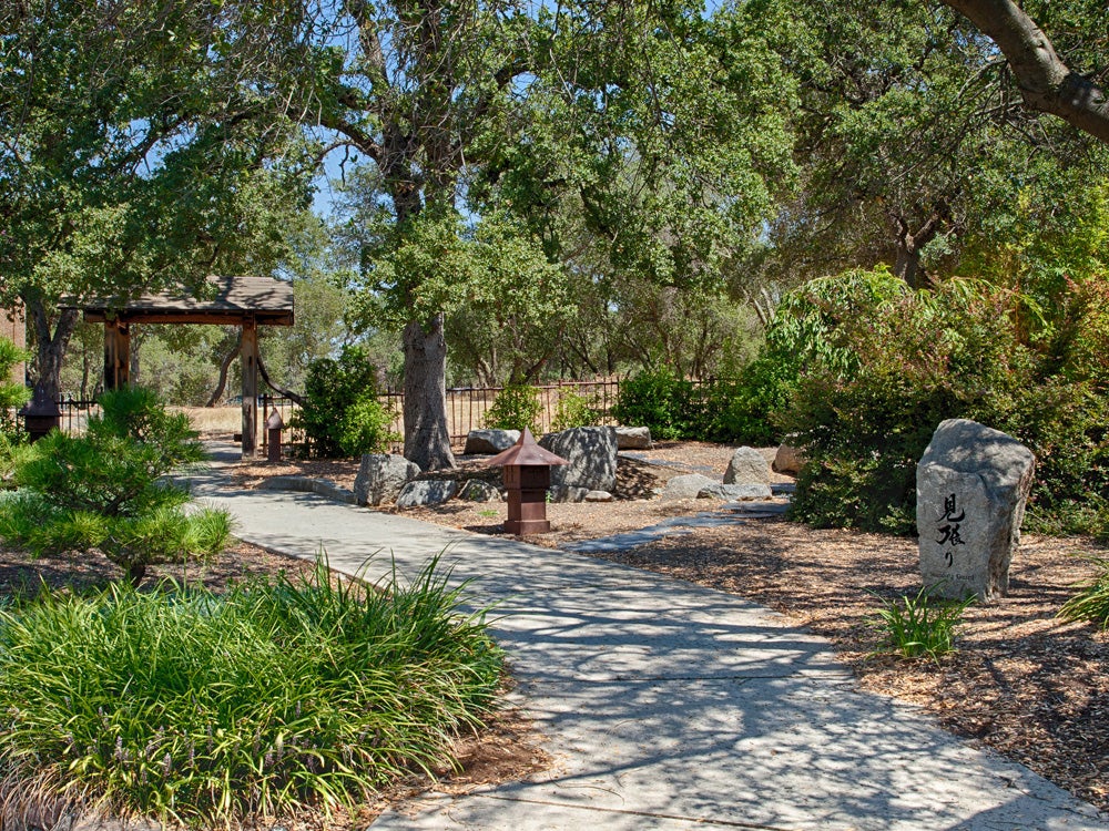 Environmentally-sensitive garden to reflect Japanese and American cultural influences by Hiroshi Matsuda.