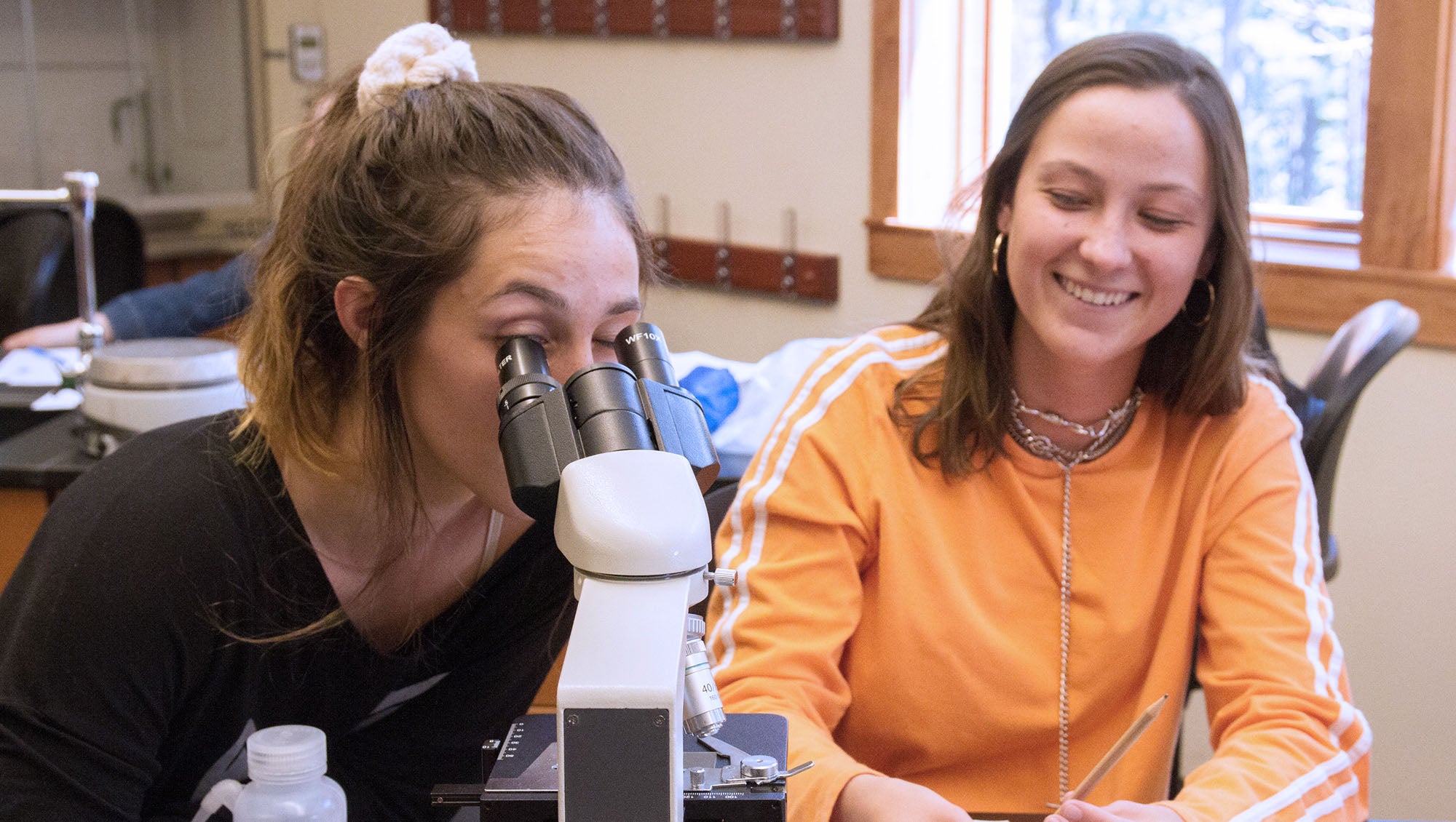 Two students looking through a microscope in a biology class at Sierra College