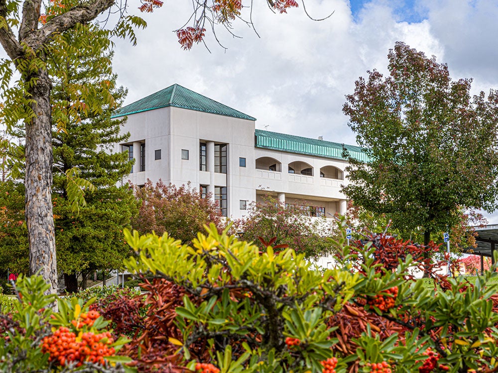 LR building behind blooming fall bushes.