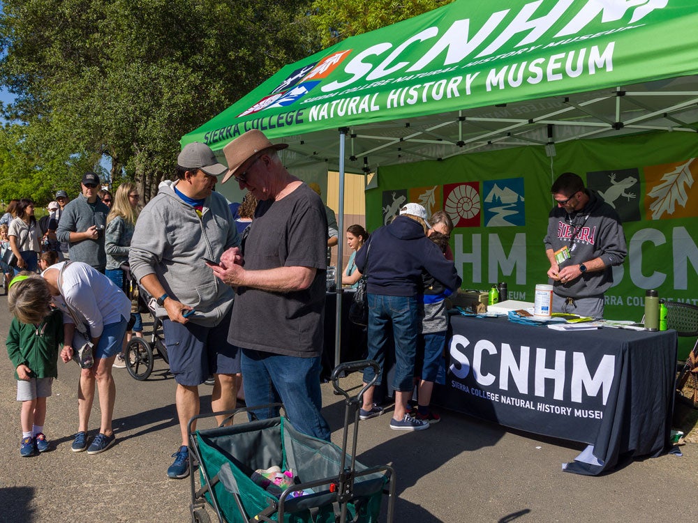 Dinosaur Day at Sierra College Natural History Museum