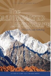 Illuminated Landscape Book Cover