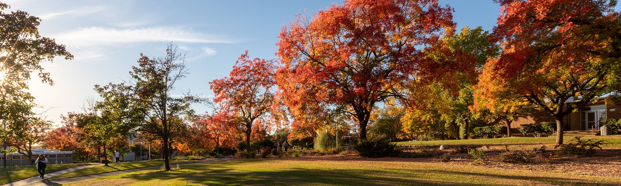 Fall colors on the Sierra College Rocklin campus