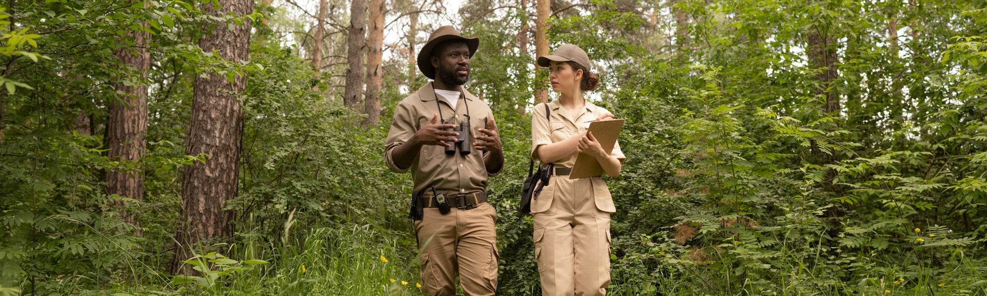 Two park rangers assessing forest growth