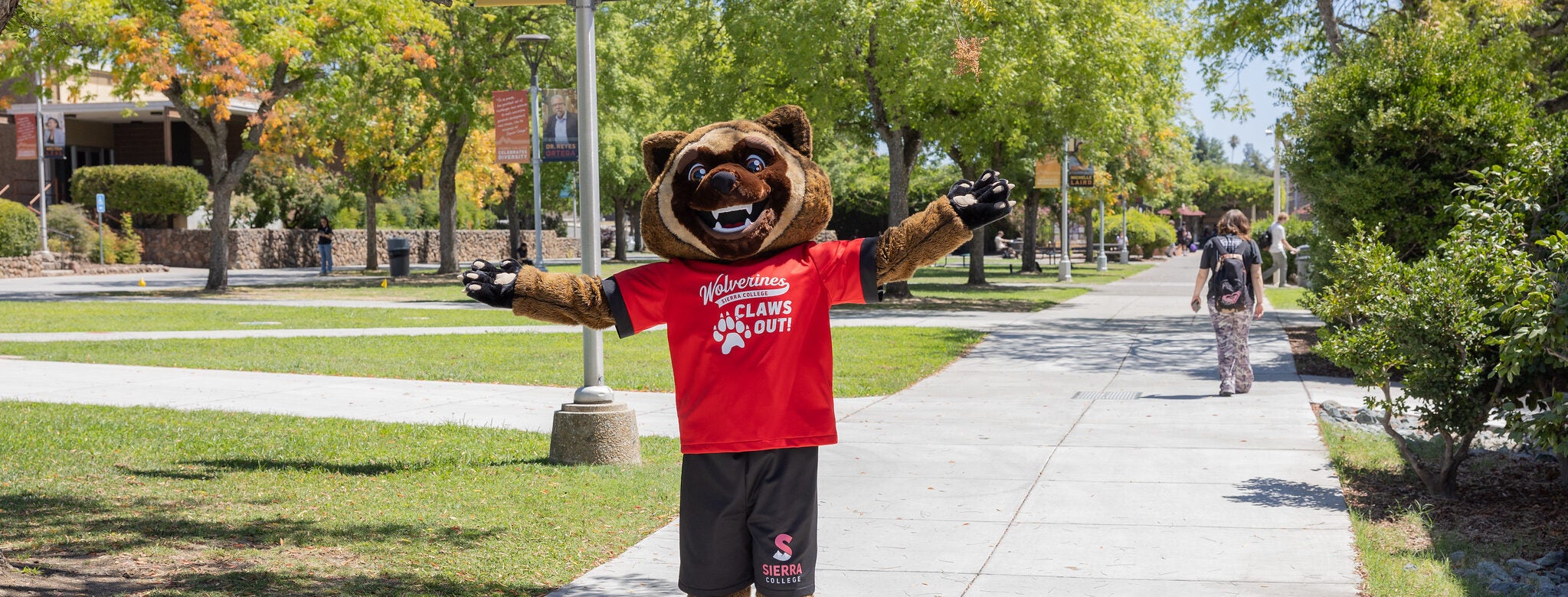 Meet Our New Sierra College Wolverine Mascot
