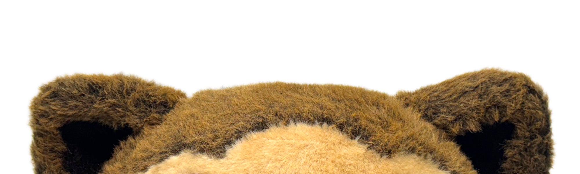Meet Our New Sierra College Wolverine Mascot