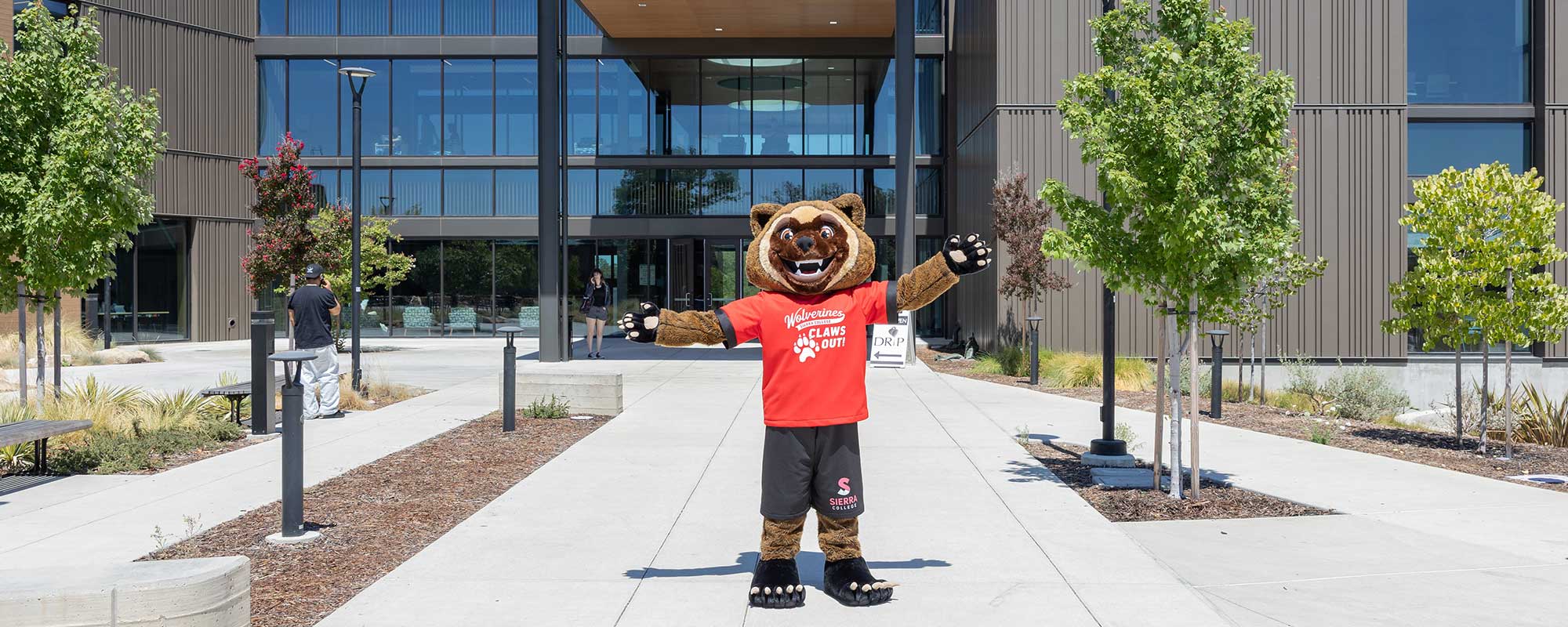 Wolverine Mascot