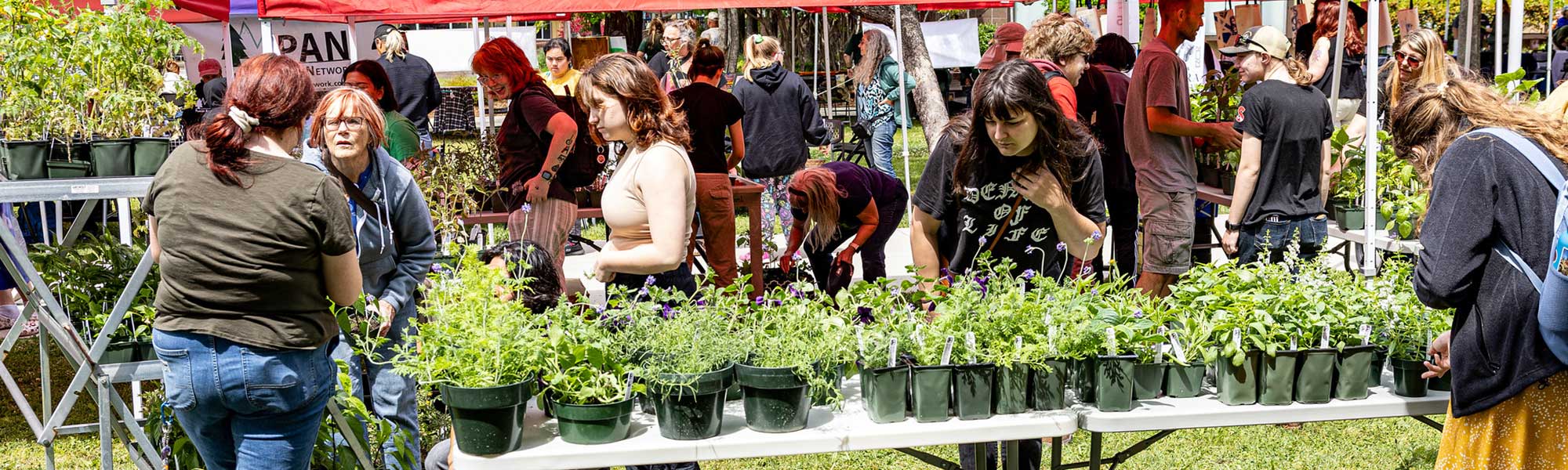 Students shopping for plants at Earth Day event.