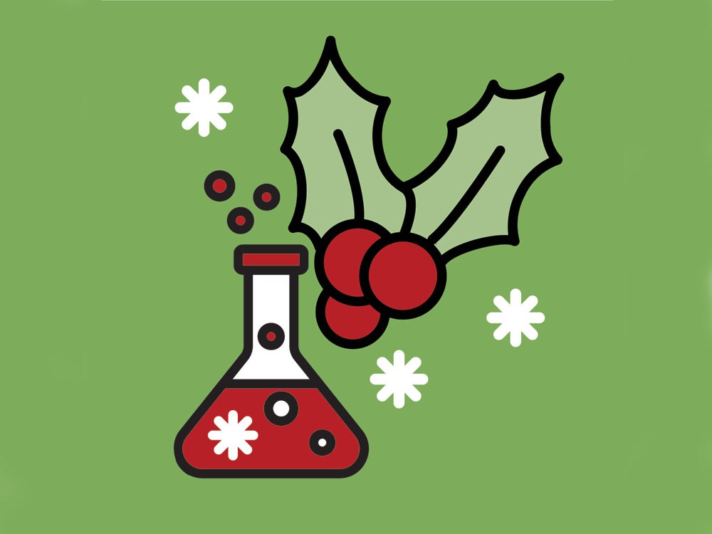 Free Saturday Holiday Botanicals Event