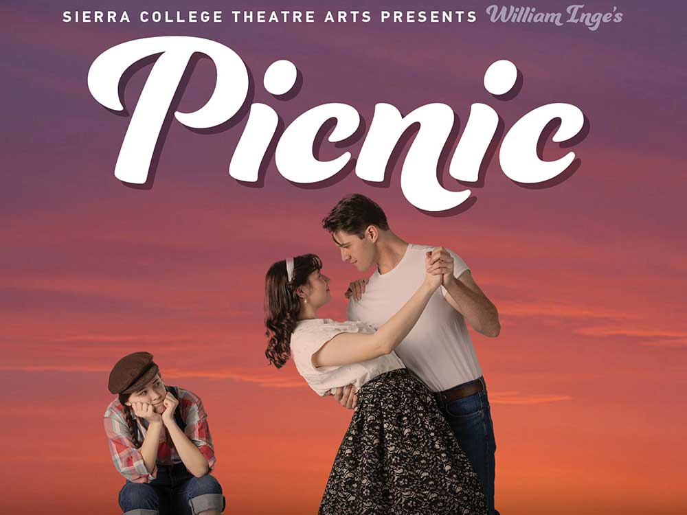 Picnic S26