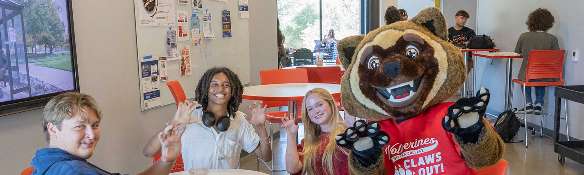 Mission, Vision and Core Values