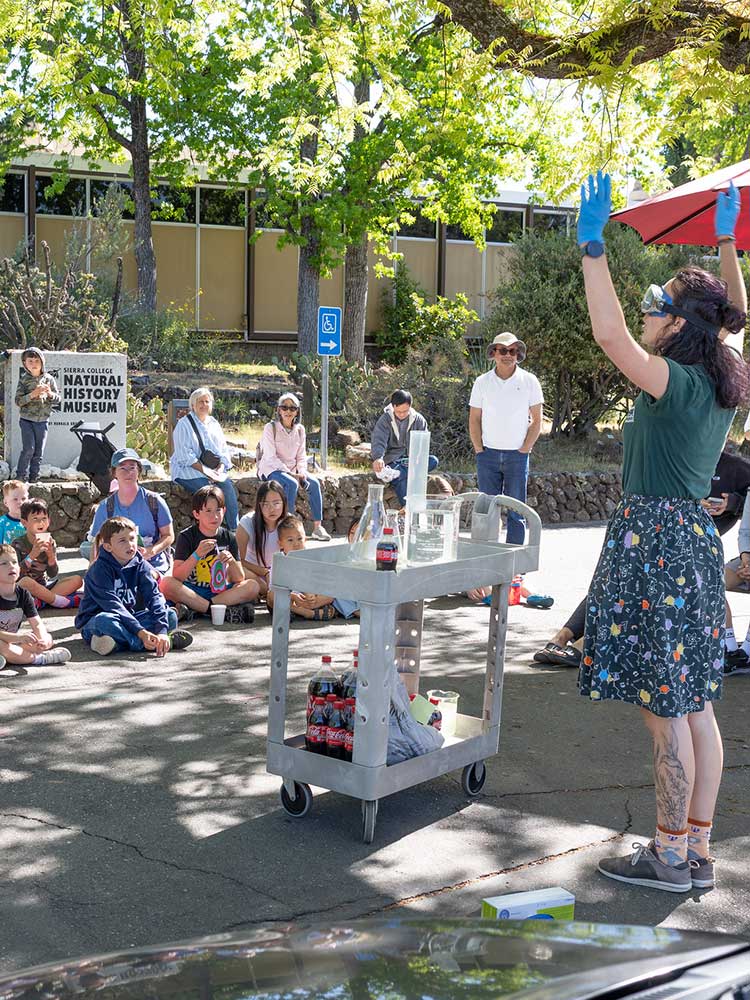 Free Saturday Outdoor Experiment at SCNHM