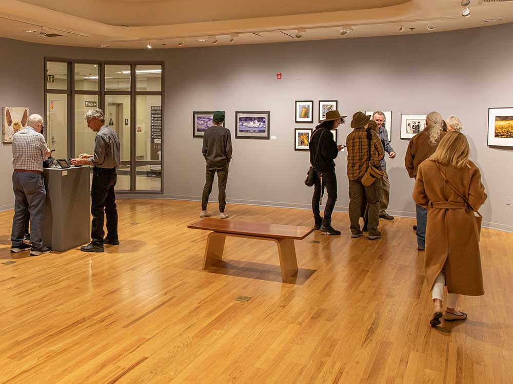Visitors view art at the Ridley Gallery