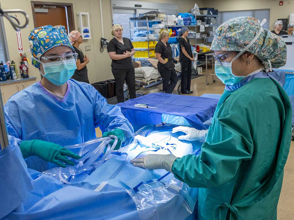 Following completion of the Surgical Technologist certificate, students can begin work in hospital or surgery center operating rooms.