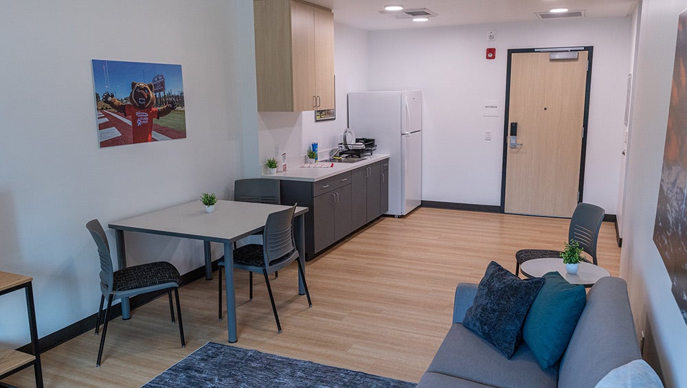 Apartment Living Kitchenette Living Room Housing
